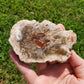 Petrified Wood Indonesia Fossilized Slab Slice Crystals Minerals Stones Natural Metaphysical Nature Reiki Collectible