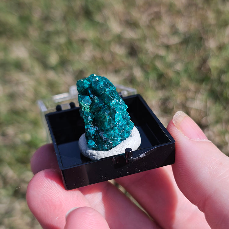 Dioptase Crystals Minerals Thumbnails Natural Specimen Collectible