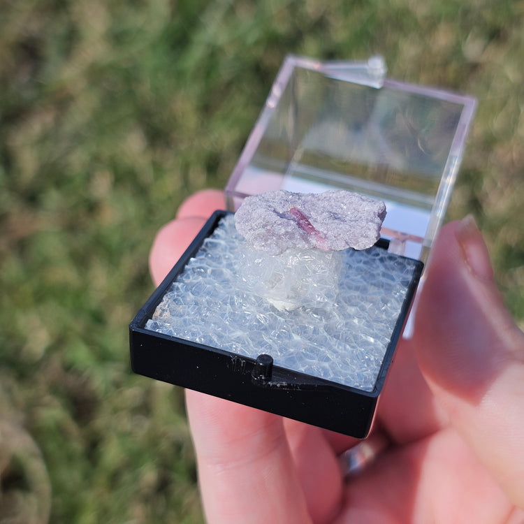 Rubellite & Lepidolite Crystals Minerals Thumbnails Natural Specimen Collectible