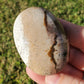 Fossilized Palm Root Palm Stone Indonesia Agate Collectible Quality Gifts J