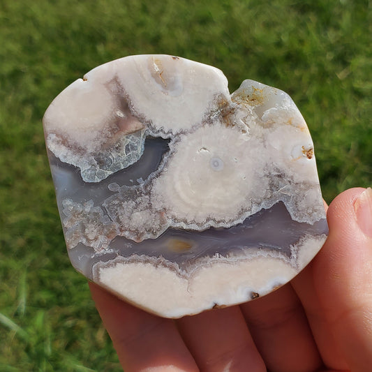 Flower Agate Slice Slab Minerals Stones BONUS INFO CARD Nature Reiki Collectible