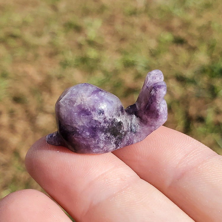 Amethyst Happy Snail Mail Carving Crystals Minerals Collectible Gifts