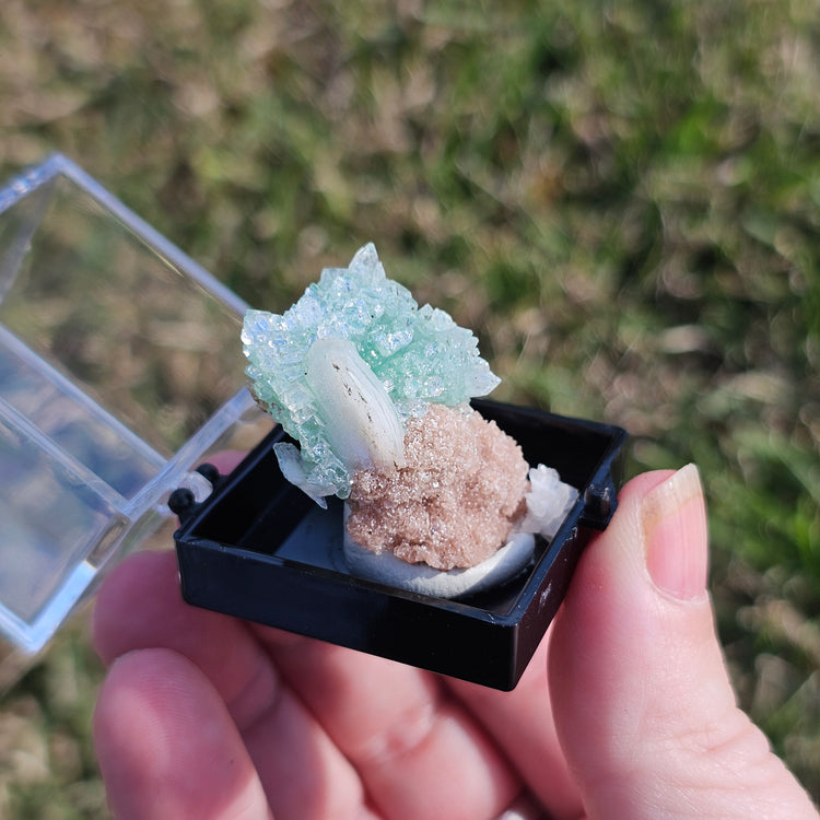 Fluorapophyllite Stilbite Crystals Minerals Thumbnails Natural Specimen Collectible