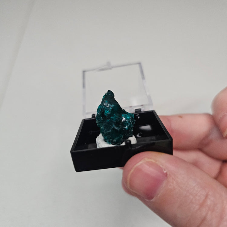 Dioptase Crystals Minerals Thumbnails Natural Specimen Collectible