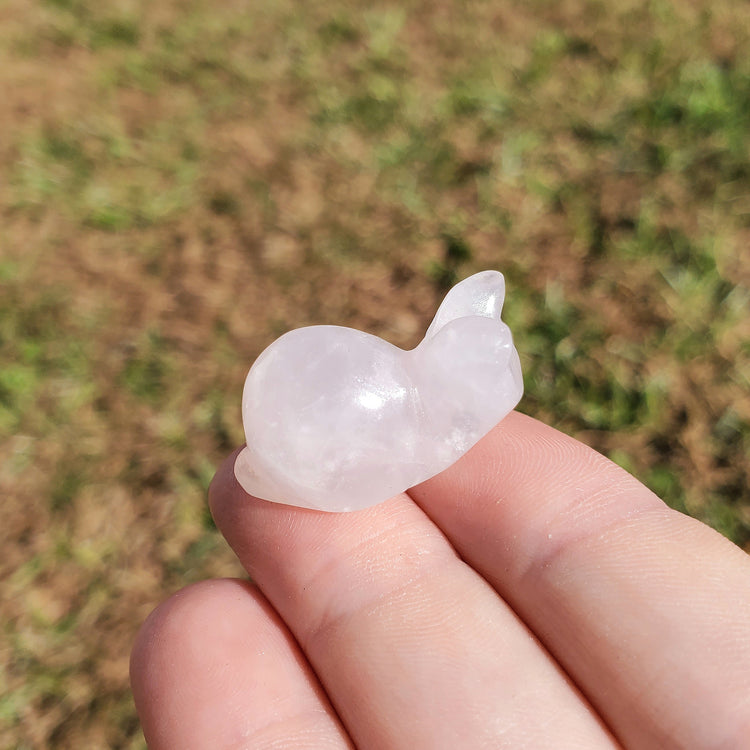 Clear Quartz Happy Snail Mail Carving Crystals Minerals Collectible Gifts