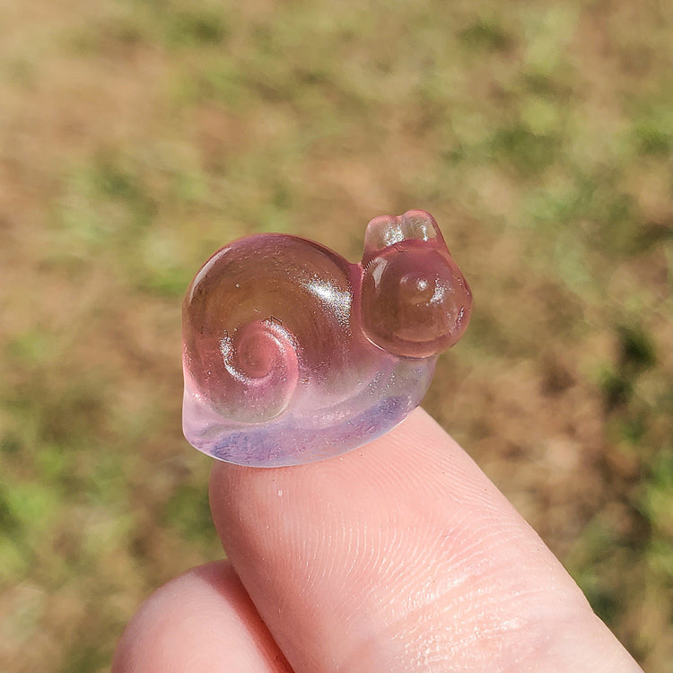 Fluorite Kawaii Snail Carving BONUS Info Card Crystals Minerals Stones Rocks