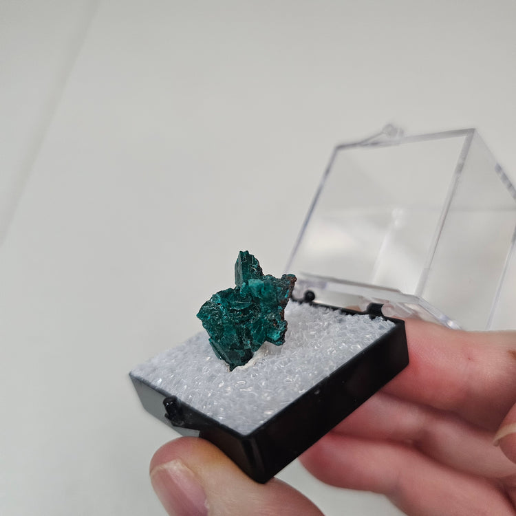 Dioptase Crystals Minerals Thumbnails Natural Specimen Collectible