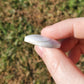 Shiva Shell Cabochon BONUS Info Card Crystals Carvings Minerals Stones Shell