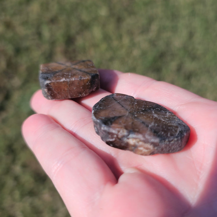 Chiastolite Slice Crystals Minerals Stones Natural Metaphysical Nature Reiki Collectible