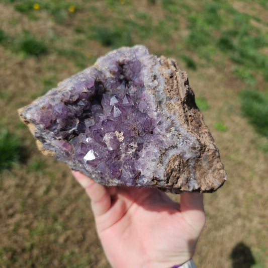 Amethyst Large Juicy Cluster Specimen Chihuahua Mexico Crystals Collectible