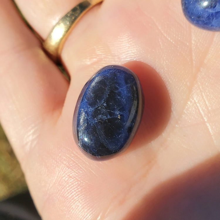 Sodalite Cabochons Bundle (5) Tear Drop Crystals Wire Wrapping BONUS INFO CARD