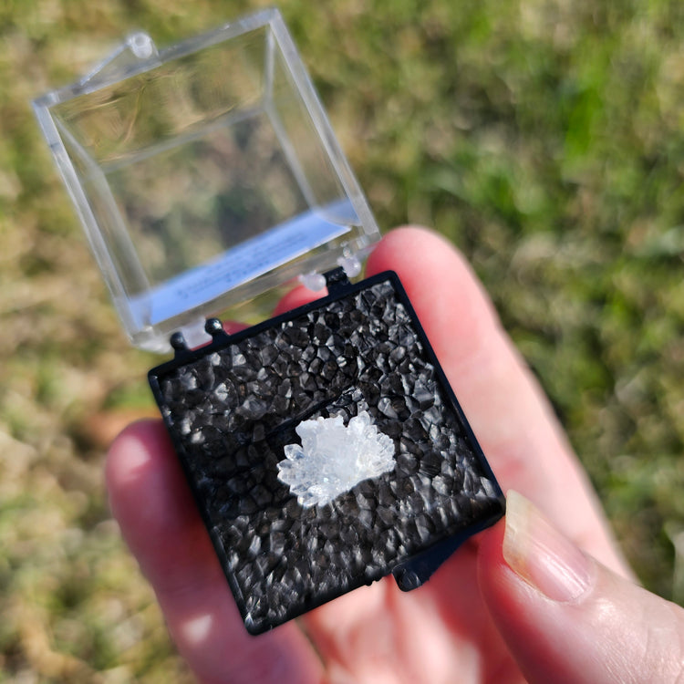 Quartz Flower Crystals Minerals Thumbnails Natural Specimen Collectible