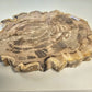 Petrified Wood Indonesia Fossilized Slab Slice Crystals Minerals Paw Print