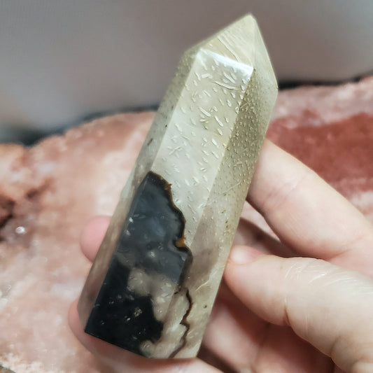 Fossilized Palm Root Generator Tower Indonesia Crystals Minerals Stones Natural F