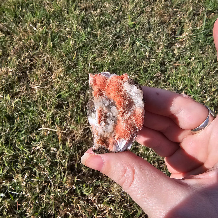 Thomsonite Specimen India Crystals Minerals Collectible Gifts