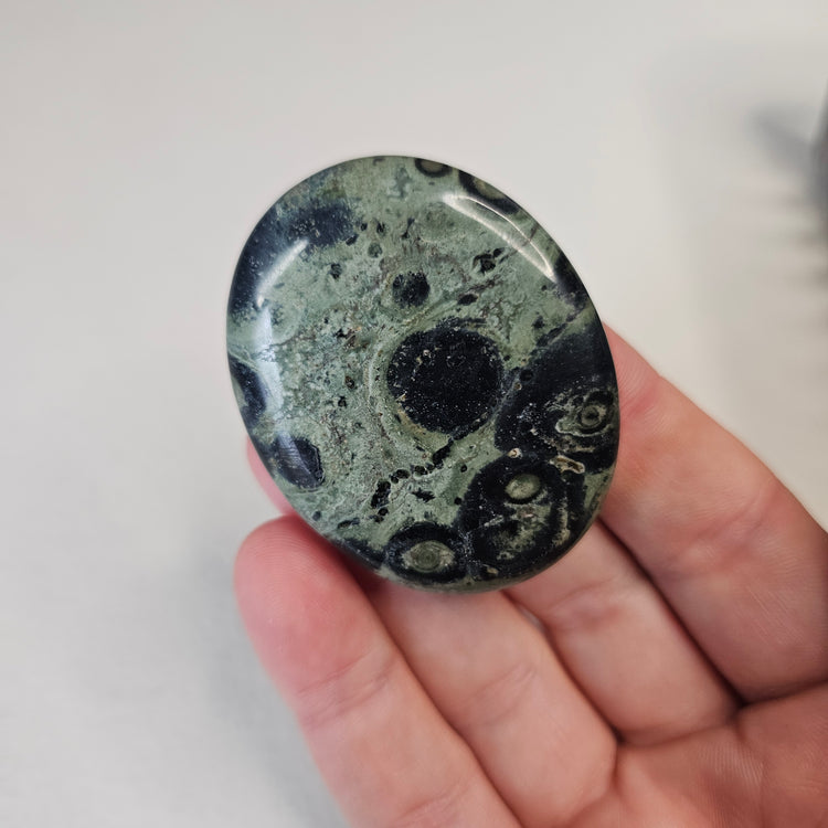 Kambaba Jasper Stone Worry Pocket Stone Crystals Stones BONUS INFO CARD Gifts