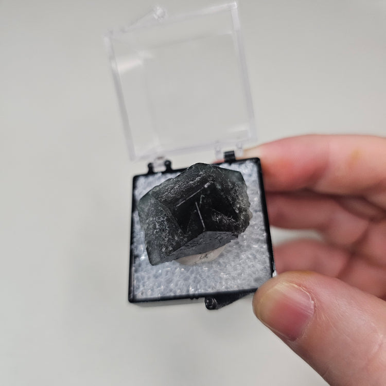 Fluorite Color Changing England Crystals Minerals Thumbnails Natural Specimen Collectible