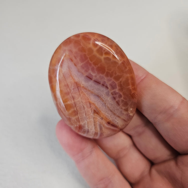 Fire Agate Worry Pocket Stone Crystals Stones BONUS INFO CARD Gifts