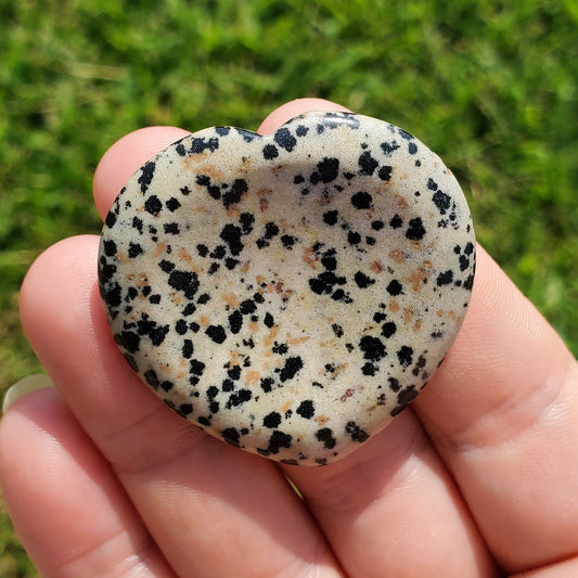 Dalmatian Jasper Worry Pocket Stone Crystals Mineral Stones Natural BONUS INFO CARD Gifts