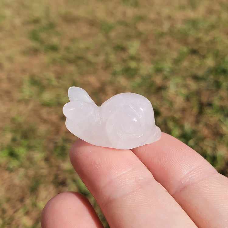 Clear Quartz Happy Snail Mail Carving Crystals Minerals Collectible Gifts