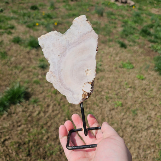Beautiful Pink Amethyst on Stand BONUS Info Card Crystals Minerals Specimen Nature