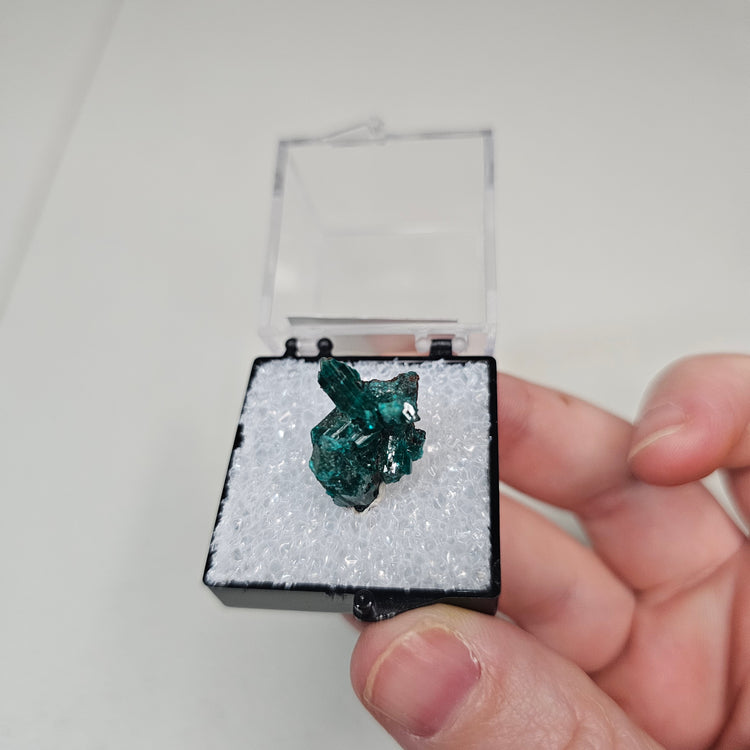 Dioptase Crystals Minerals Thumbnails Natural Specimen Collectible