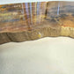 Petrified Wood Indonesia Fossilized Slab Slice Crystals Minerals Paw Print