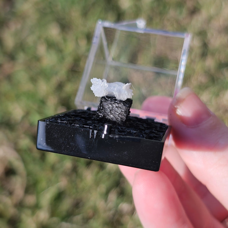 Quartz Flower Crystals Minerals Thumbnails Natural Specimen Collectible