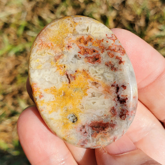 Crazy Lace Agate Beautiful Worry Stone Crystals Mineral Stones Natural BONUS Info Card Gifts
