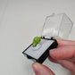 Pyromorphite Crystals Minerals Thumbnails Natural Specimen Collectible