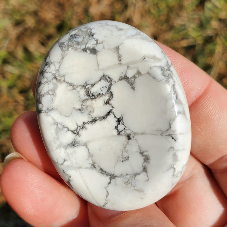 Howlite Worry Stone Pocket Crystals Mineral Natural BONUS Info Card Gifts