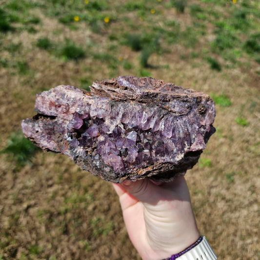 Amethyst Large Juicy Cluster Specimen Chihuahua Mexico Crystals Collectible