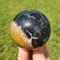 Fossilized Palm Root Sphere Indonesia BONUS GIFT Hematite Ring Collectible FF