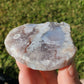 Flower Agate Slice Slab Minerals Stones Natural BONUS INFO CARD