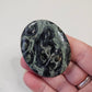 Kambaba Jasper Stone Worry Pocket Stone Crystals Stones BONUS INFO CARD Gifts