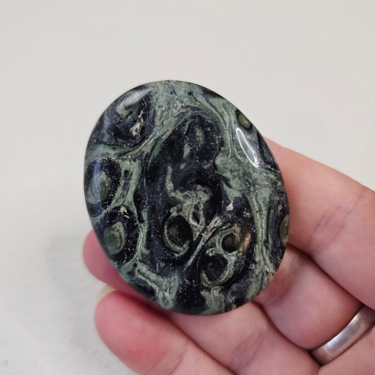 Kambaba Jasper Stone Worry Pocket Stone Crystals Stones BONUS INFO CARD Gifts