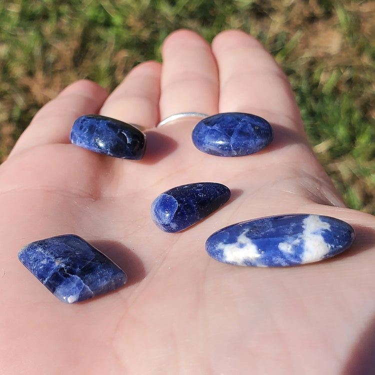 Sodalite Cabochons Bundle (5) Tear Drop Crystals Wire Wrapping BONUS INFO CARD