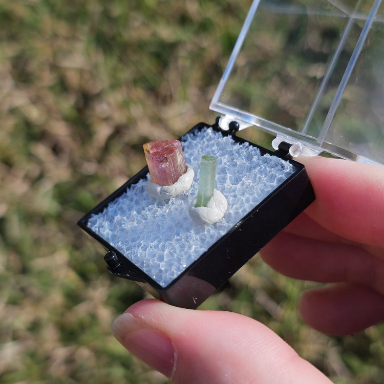 Watermelon Tourmaline Crystals Minerals Thumbnails Natural Specimen Collectible