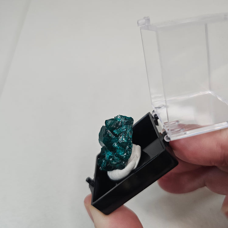 Dioptase Crystals Minerals Thumbnails Natural Specimen Collectible