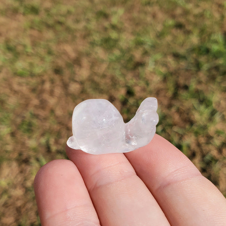 Clear Quartz Happy Snail Mail Carving Crystals Minerals Collectible Gifts