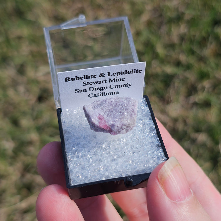 Rubellite & Lepidolite Crystals Minerals Thumbnails Natural Specimen Collectible