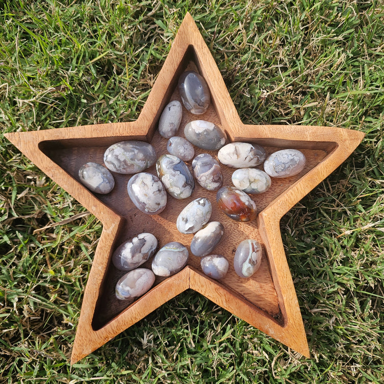 Black Flower Agate Stones 1 lb Crystals Collectible Healing Reiki Polished LOT