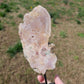 Beautiful Pink Amethyst on Stand BONUS Info Card Crystals Minerals Specimen Nature