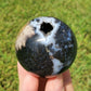 Fossilized Palm Root Sphere Indonesia BONUS GIFT Hematite Ring Collectible GG