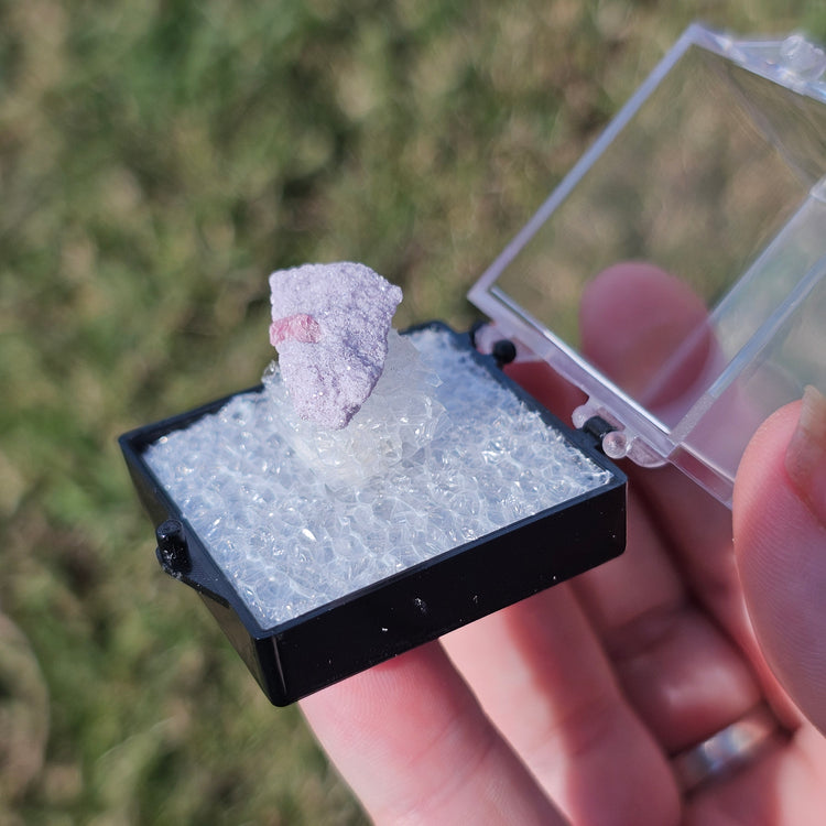 Rubellite & Lepidolite Crystals Minerals Thumbnails Natural Specimen Collectible