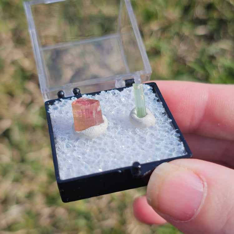 Watermelon Tourmaline Crystals Minerals Thumbnails Natural Specimen Collectible