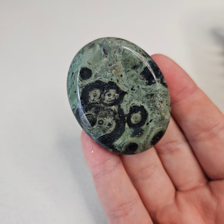 Kambaba Jasper Stone Worry Pocket Stone Crystals Stones BONUS INFO CARD Gifts