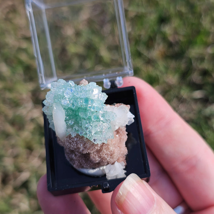 Fluorapophyllite Stilbite Crystals Minerals Thumbnails Natural Specimen Collectible