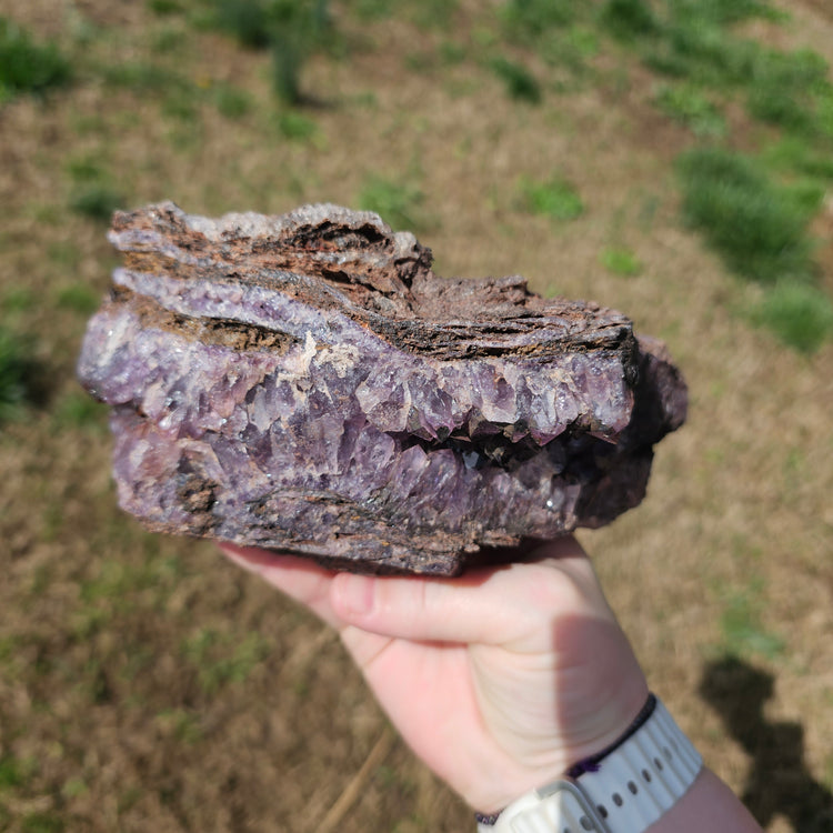 Amethyst Large Juicy Cluster Specimen Chihuahua Mexico Crystals Collectible