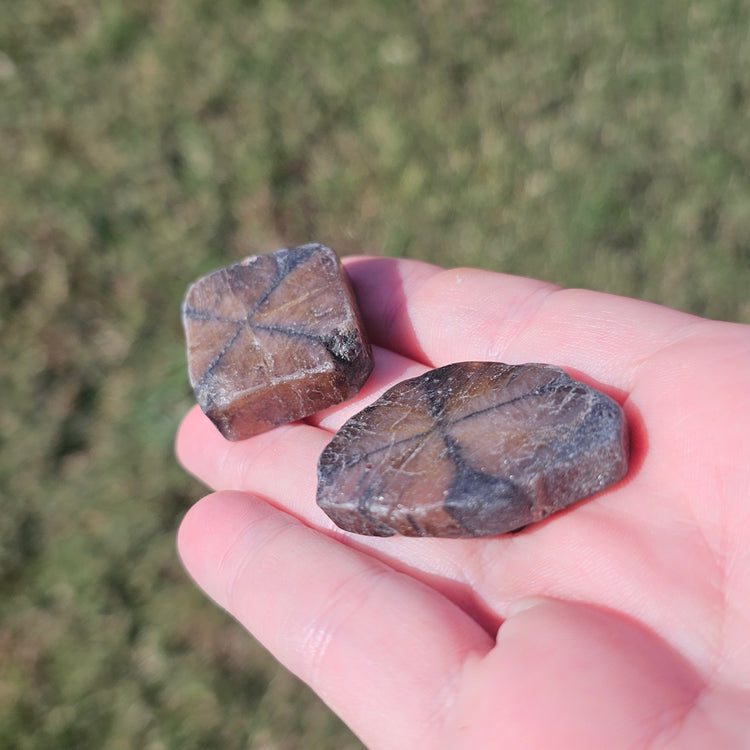 Chiastolite Slice Crystals Minerals Stones Natural Metaphysical Nature Reiki Collectible